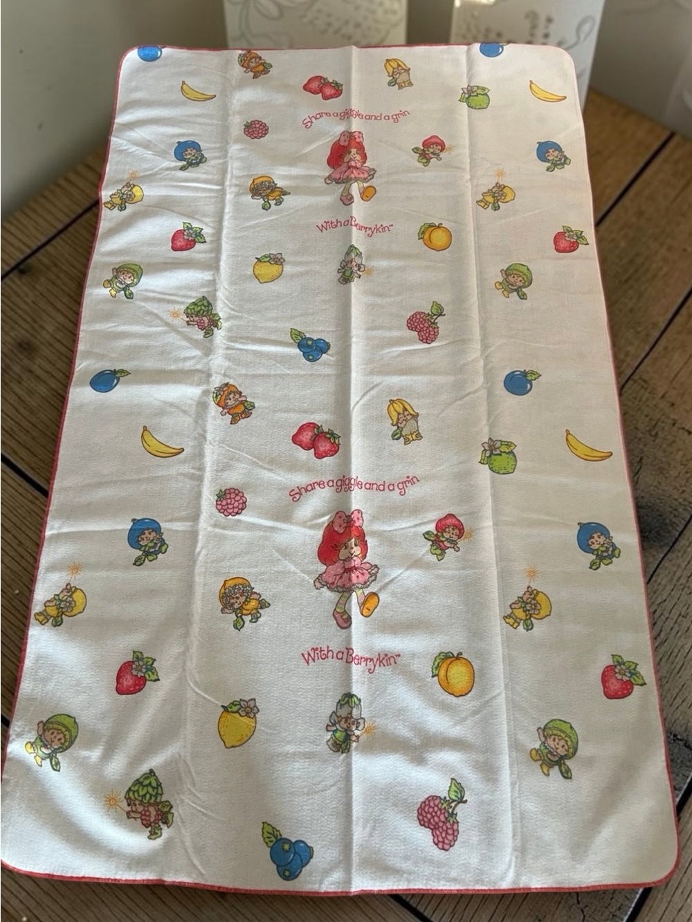 🍓 Rare Vintage 1980s Strawberry Shortcake & Berrykin Character Kids Blanket 🍓